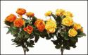Dried Look Cabbage Rose Bush w/Flowers