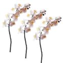 Real Touch Phalaenopsis Orchid Spray w/8 Flowers, 1 Open Bud & 3 Close Buds